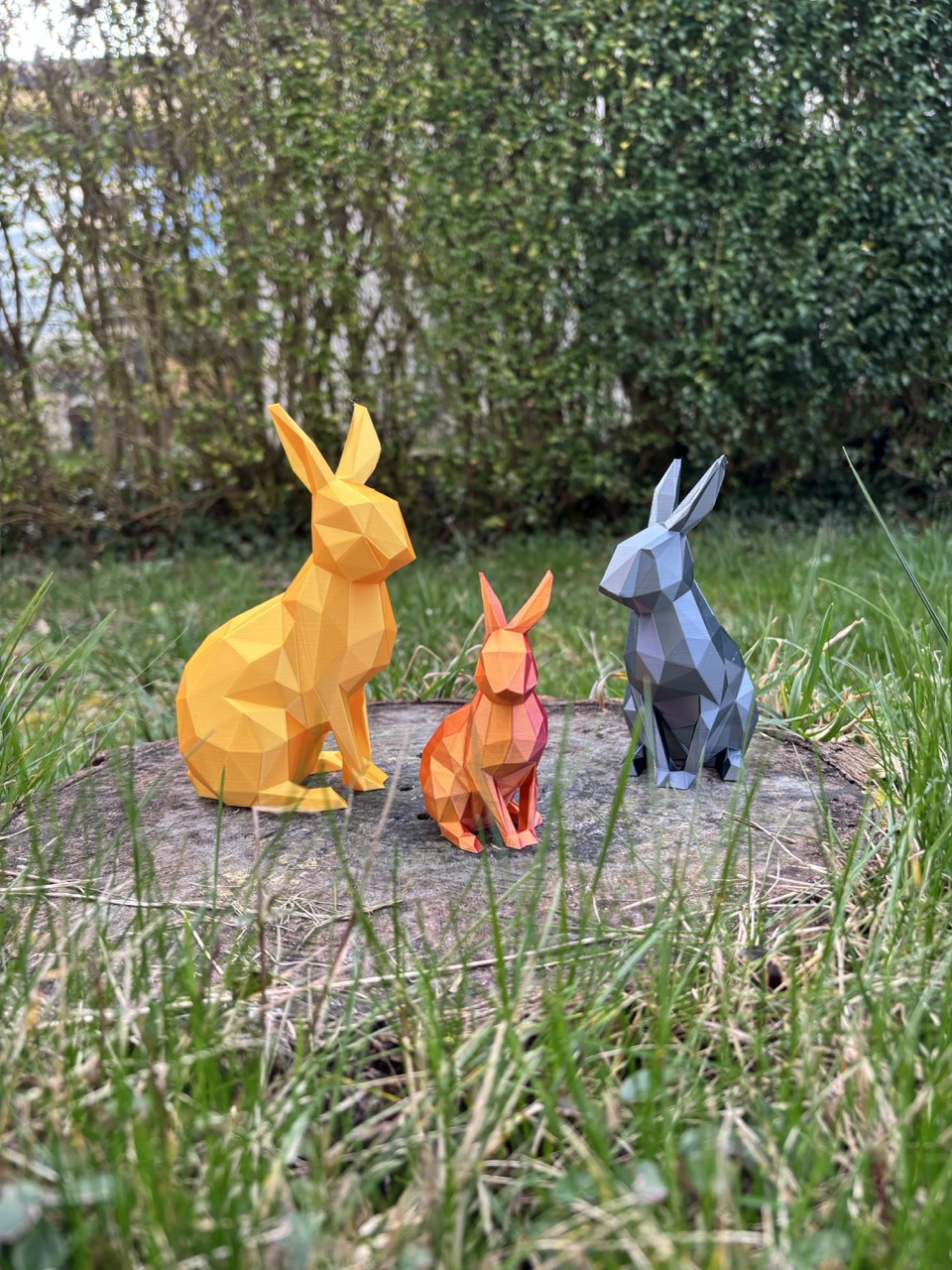 La Lapin Low-Poly – Image 5