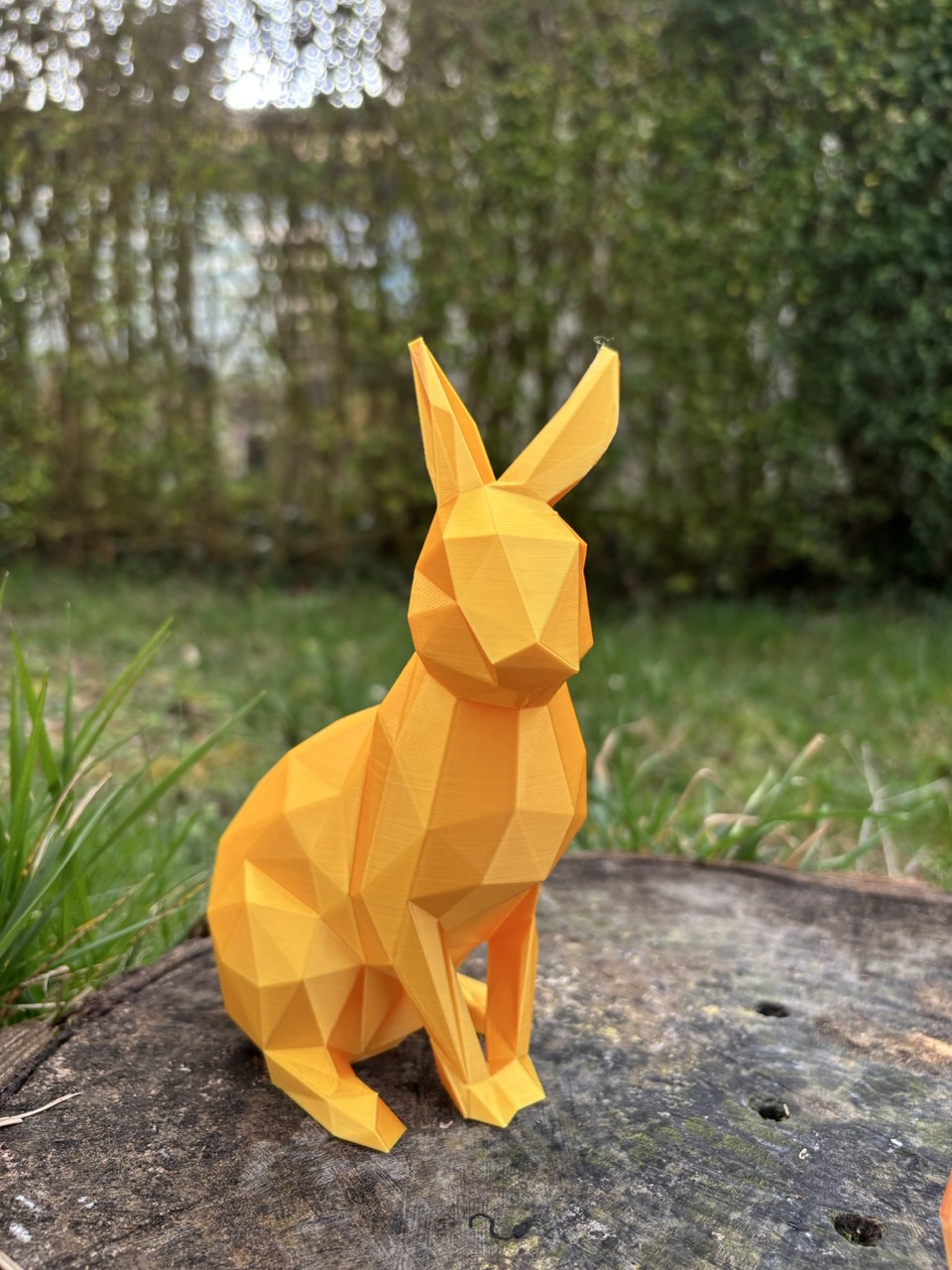 La Lapin Low-Poly – Image 4