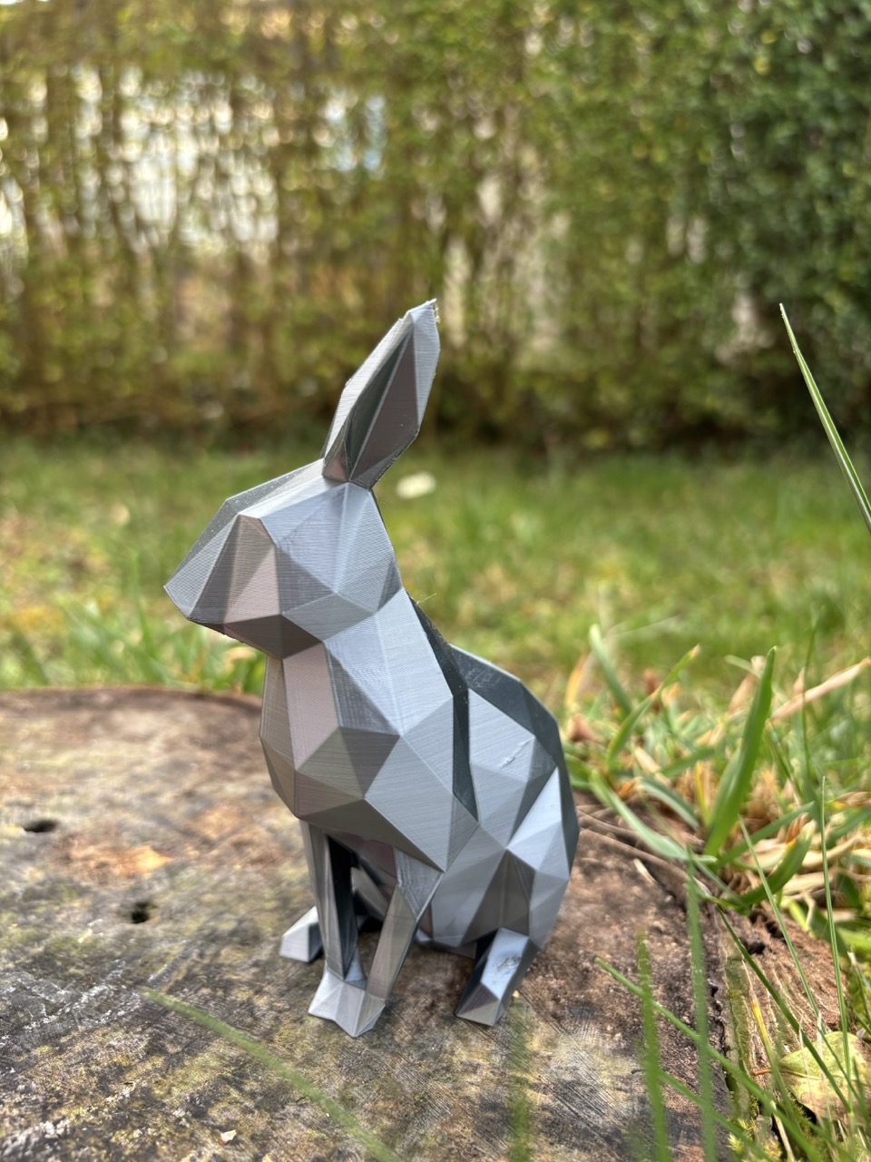 La Lapin Low-Poly – Image 3