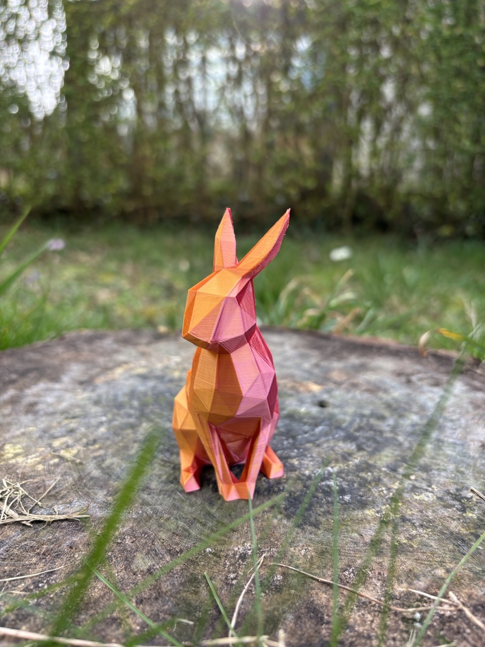 La Lapin Low-Poly – Image 2