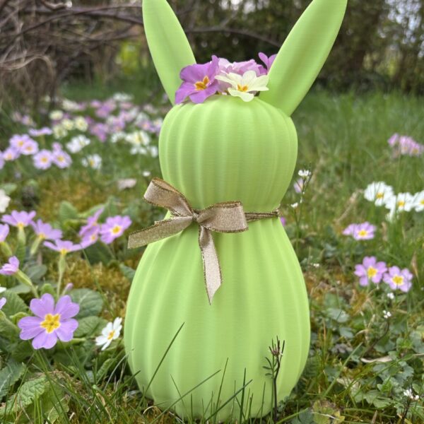 Le Vase Oreilles de Lapin