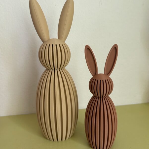 Douceur Minérale : Le Lapin à Lamelles